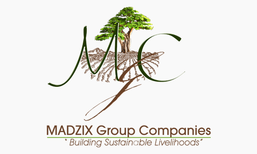 The MADZIX Group Companies